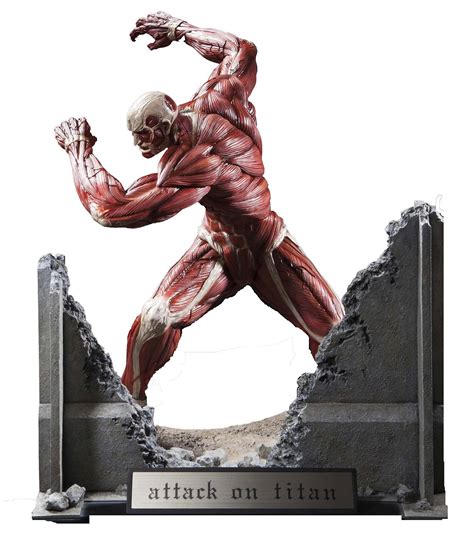 team titans figures|attack on titan figures huge.